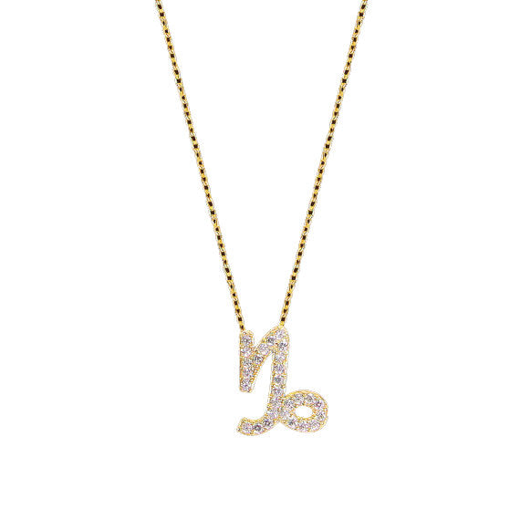 Capricorn Necklace